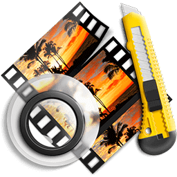 AVS Video ReMaker Indir