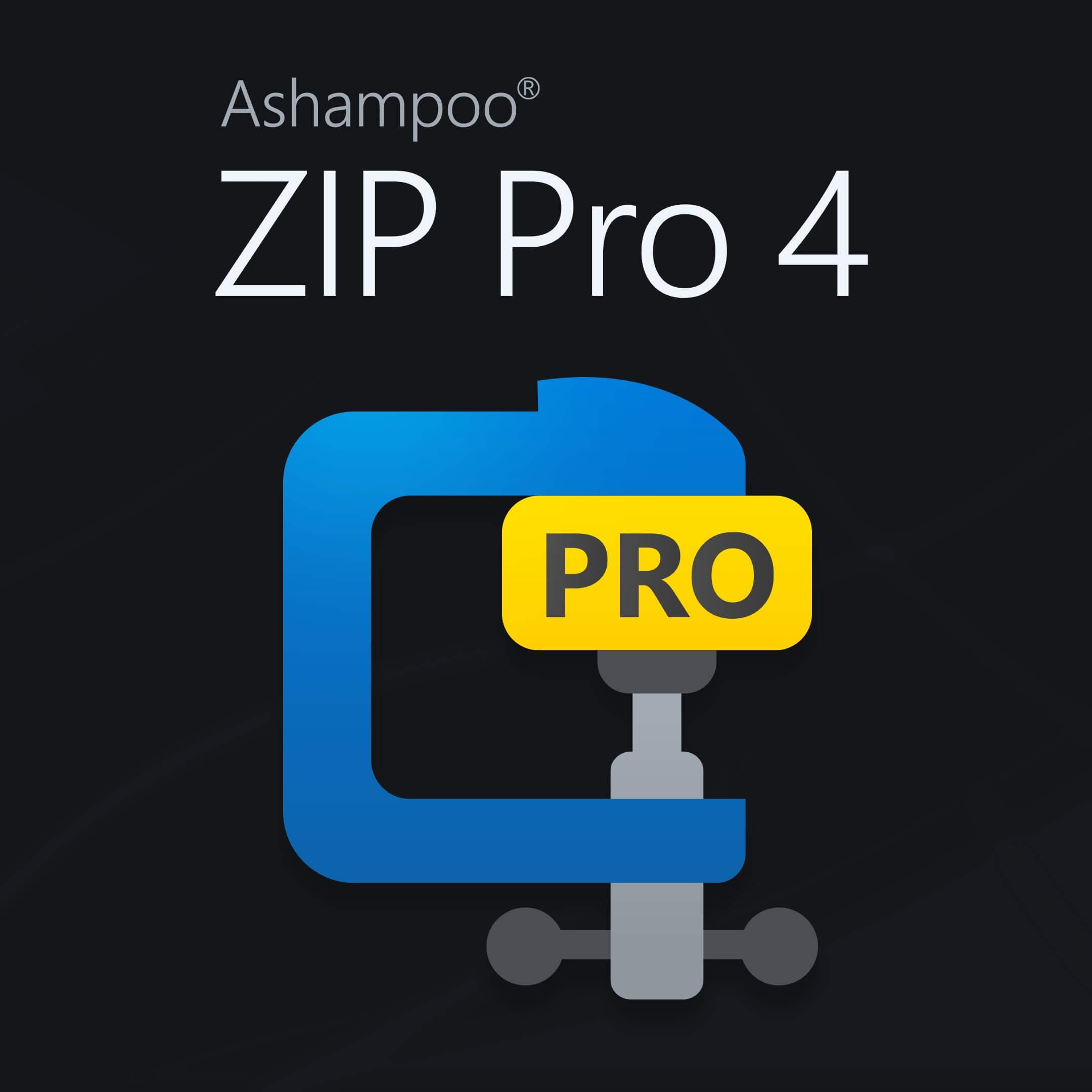 Ashampoo ZIP Pro Indir