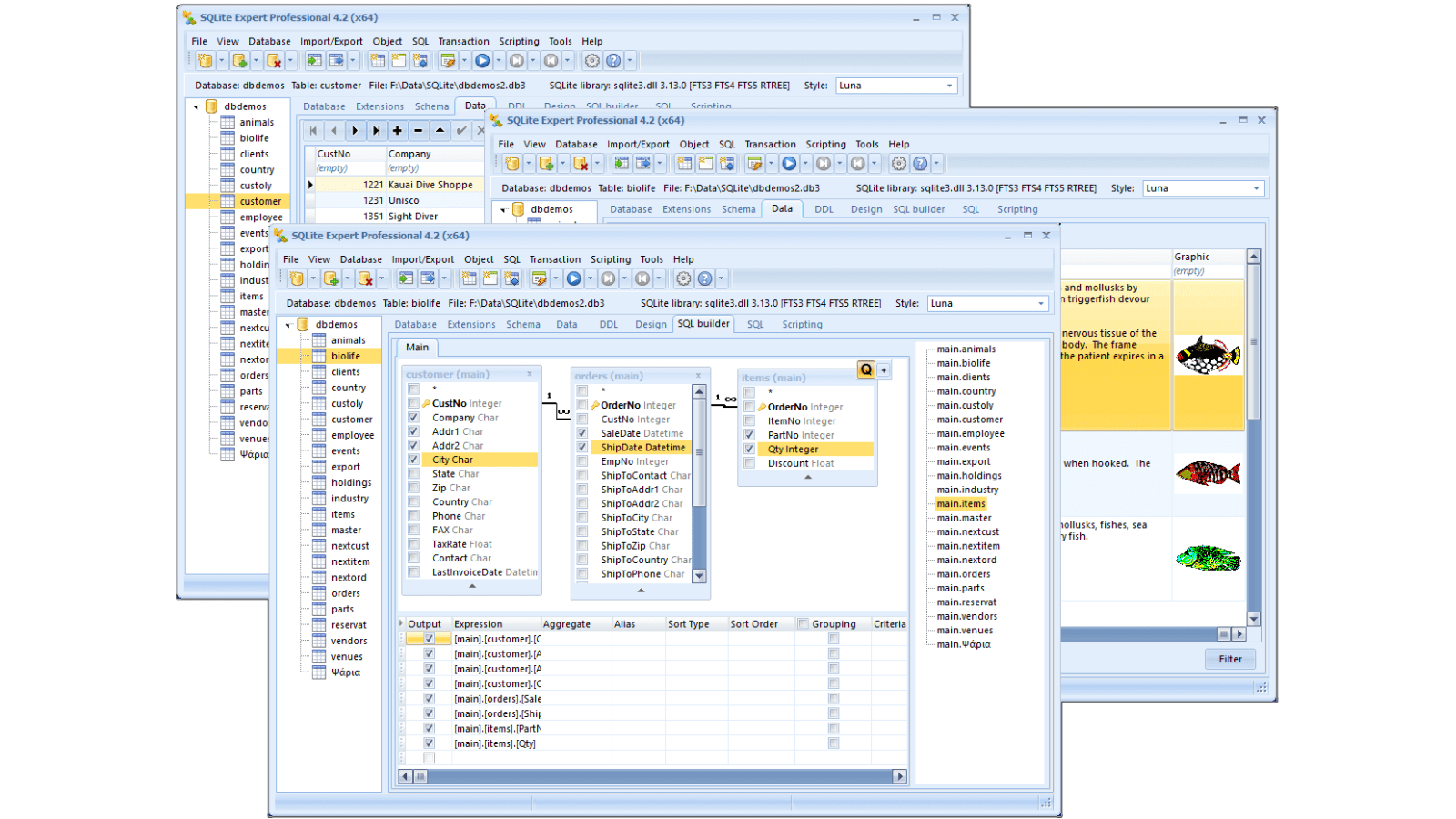 Sqlite expert professional latest version crack