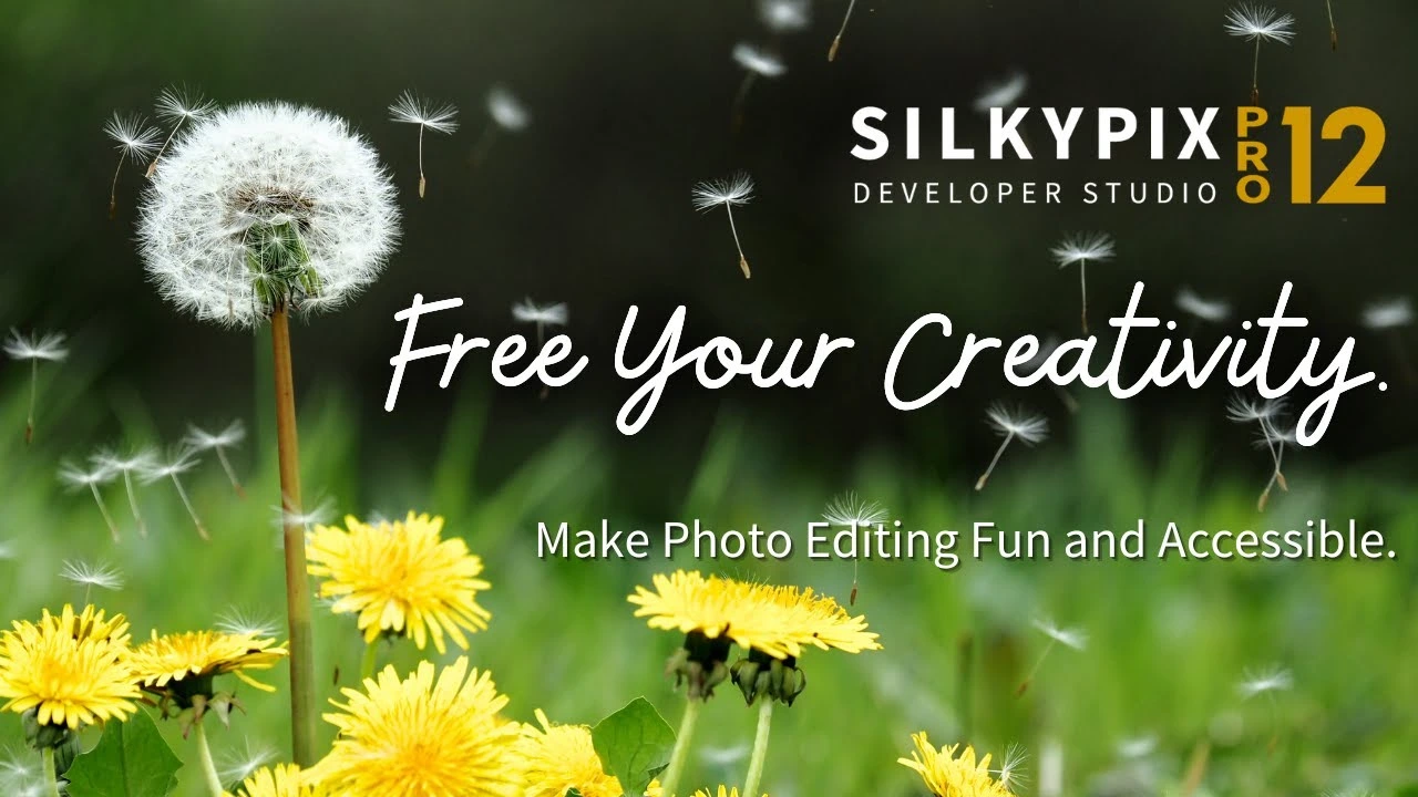 SILKYPIX Developer Studio Pro 10 free Download