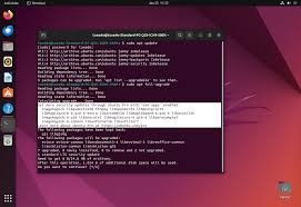 Ubuntu Pro İndir 