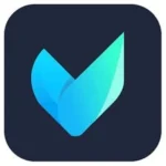 Vidmore Video Converter Crack